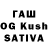 Псилоцибиновые грибы Psilocybine cubensis Ignus Ua