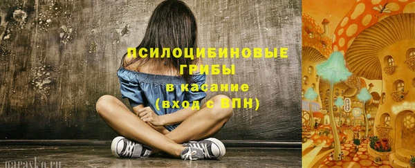 мдпв Абдулино